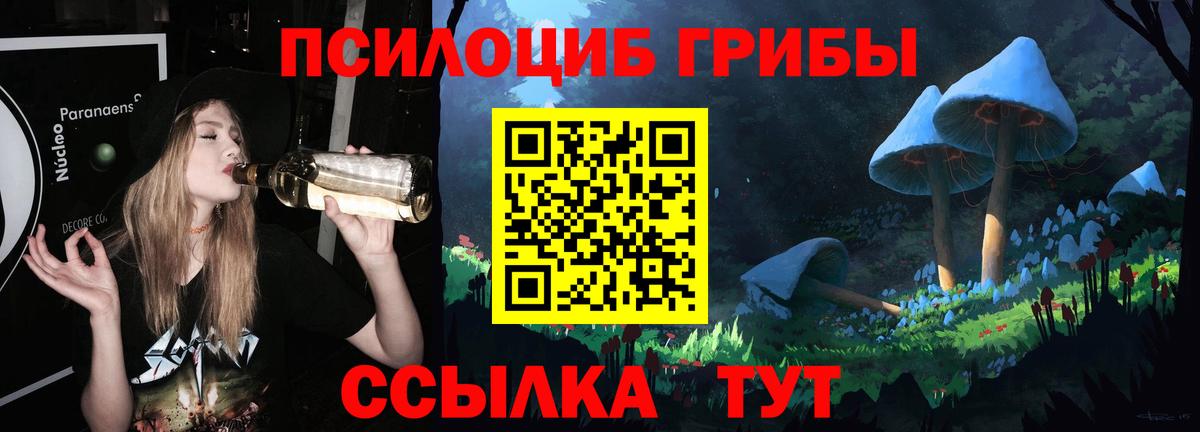 Псилоцибиновые грибы Cubensis Можайск